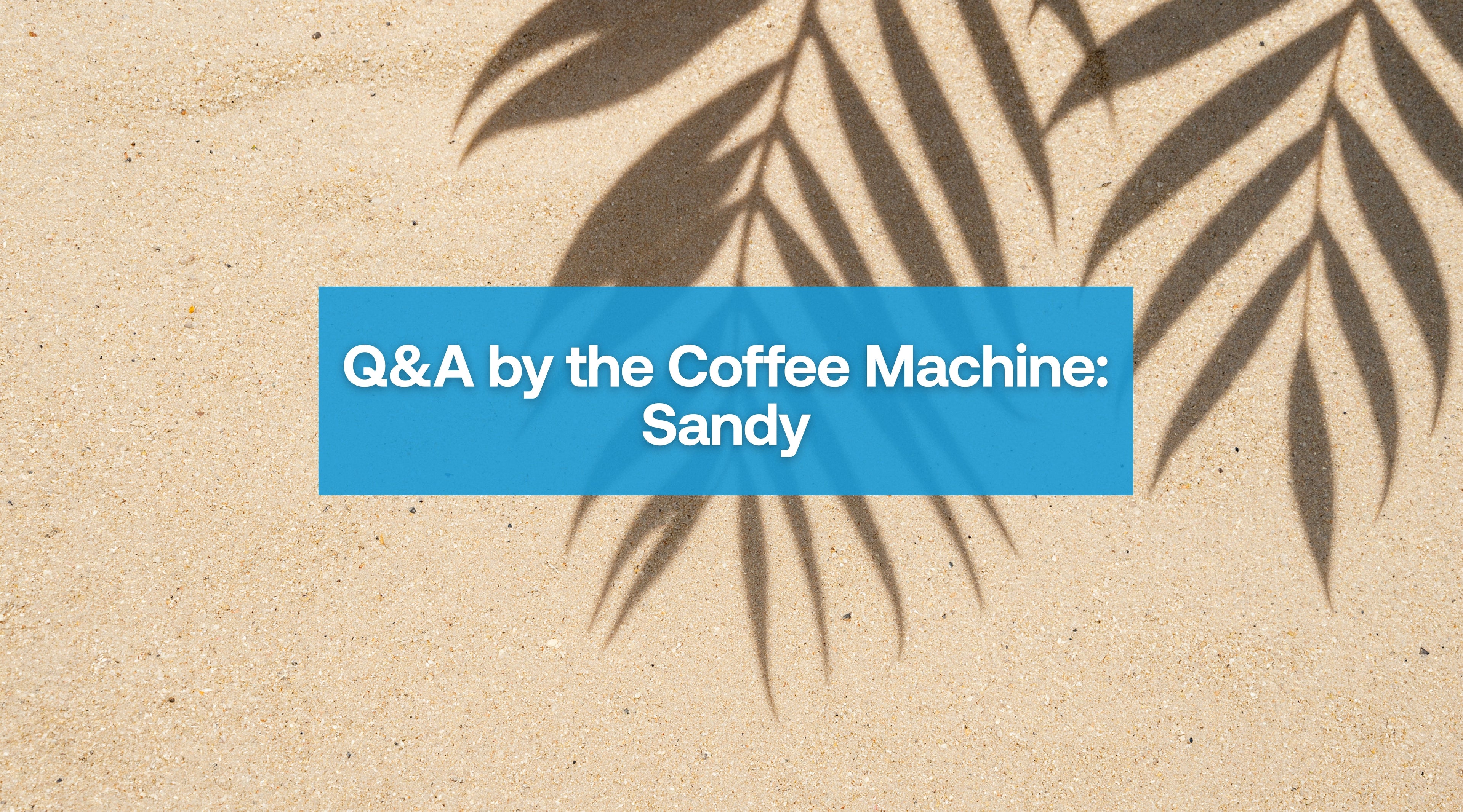 Q&A by the Coffee Machine | Sandy